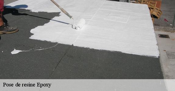 Pose de resine Epoxy  94140